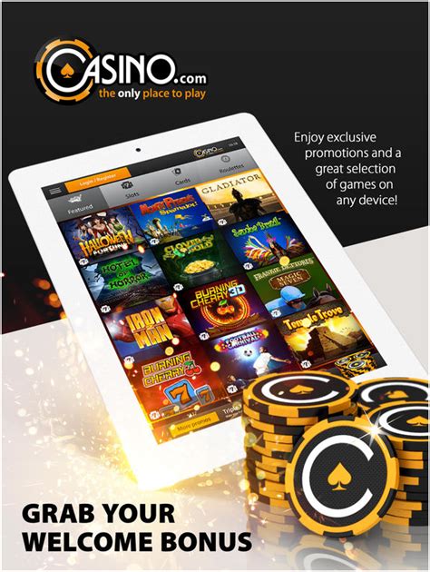 rockbet casino login|rockbetcasino co.